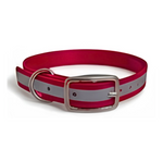 16X3/4 Inch D-Ring Dog Collar