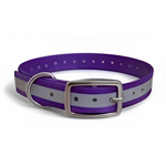 16X3/4 Inch D-Ring Dog Collar