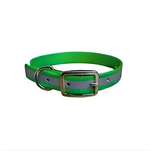 16X3/4 Inch D-Ring Dog Collar