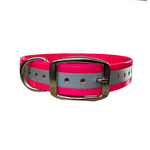 16X3/4 Inch D-Ring Dog Collar