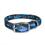 16X3/4 Inch D-Ring Dog Collar