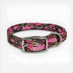 16X3/4 Inch D-Ring Dog Collar