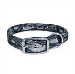 16X3/4 Inch D-Ring Dog Collar