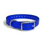 16X3/4 Inch D-Ring Dog Collar