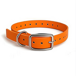 16X3/4 Inch D-Ring Dog Collar
