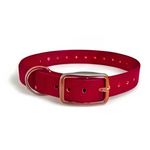 16X3/4 Inch D-Ring Dog Collar