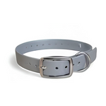 16X3/4 Inch D-Ring Dog Collar