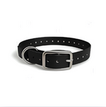 16X3/4 Inch D-Ring Dog Collar