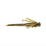 Fishlab Nature Series Flutter Nymph