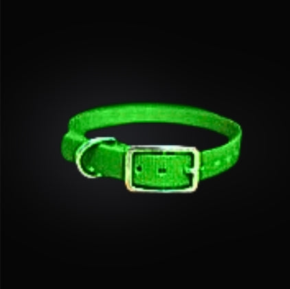 16x3/4 inch D-Ring Dog Collar / Fits Dogtra & Garmin 3/4 Inch Collars