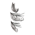 Eagle Claw Trokar Finesse Rigging Kit 46-Piece