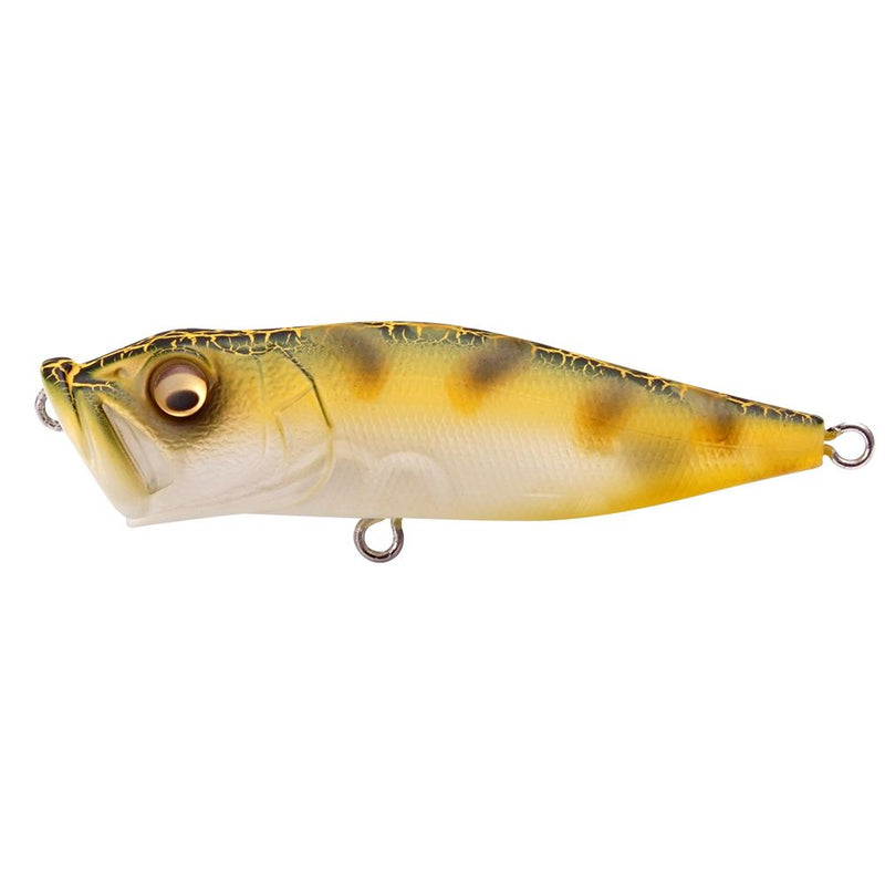 Megabass JDM  POPX CMF