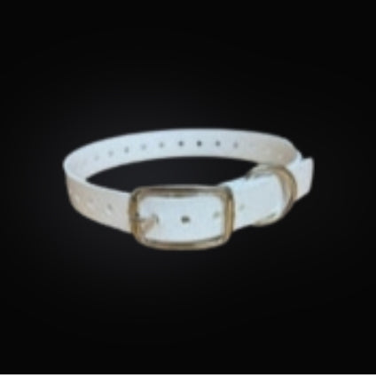 20x1 inch D-Ring Collar / Fits Dogtra & Garmin 1 Inch Collars