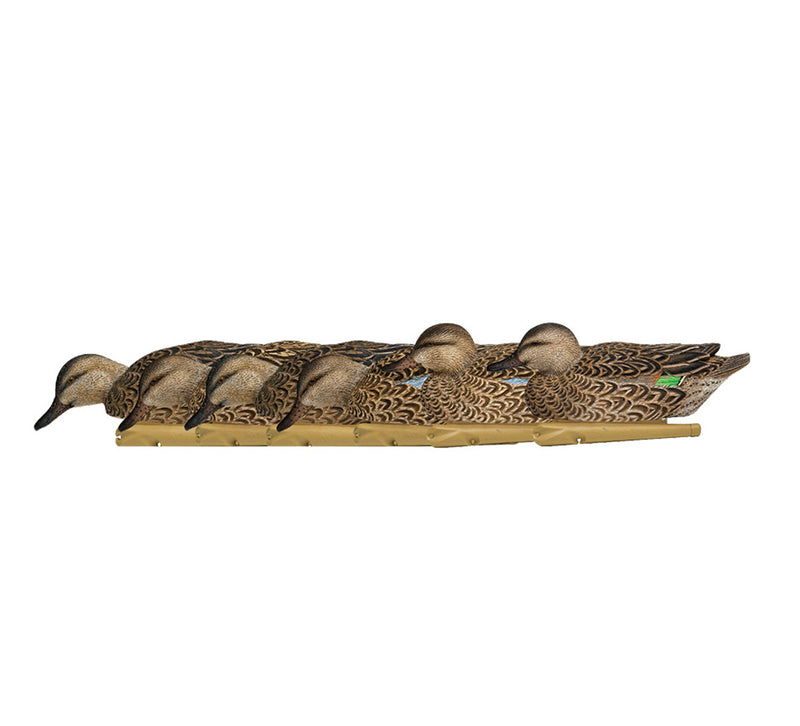 Avian-X Topflight Early Season Teal