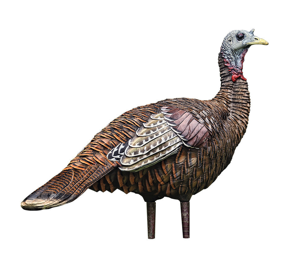 Avian-X LCD Lookout Hen Turkey Decoy, Full Body