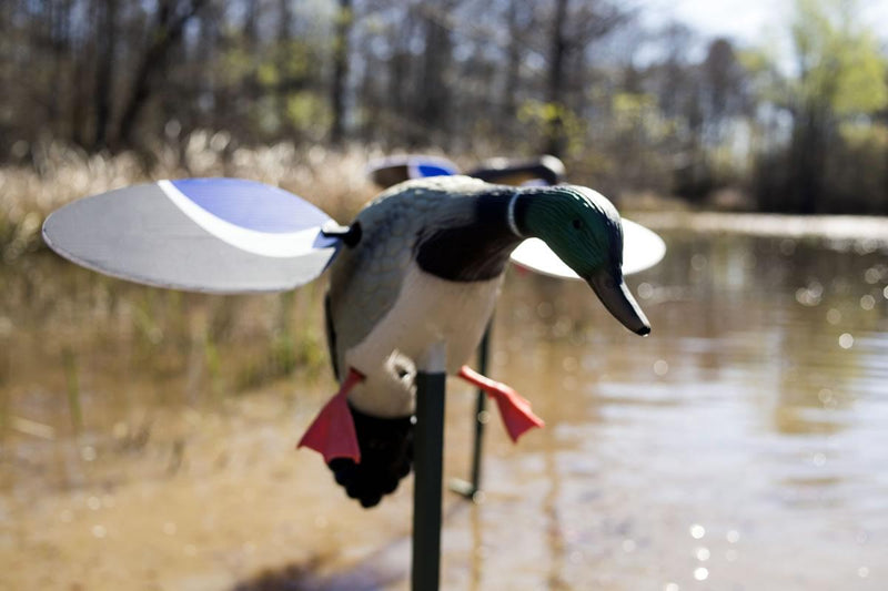 Mojo Outdoors Baby MOJO Drake Decoy