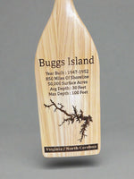 Paddle Buggs Island