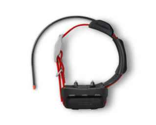 Garmin TT15X Dog Device