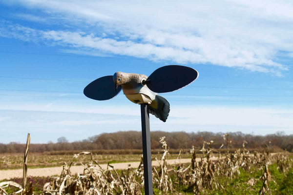 MOJO Elite Series Dove