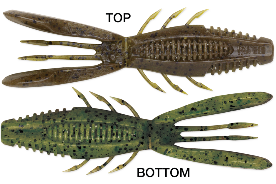 Crushcity Bronco Bug 4