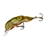 Rebel Wee Craw