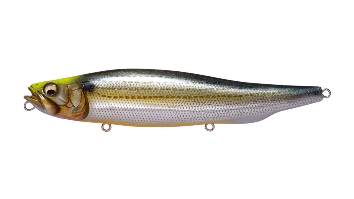 Megabass JDM MEGADOG WAGIN KONOSHIRO INDICATOR