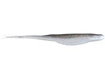 Zoom Super Fluke 7" Magnum soft plastic soft jerkbait in Smokin Shad
