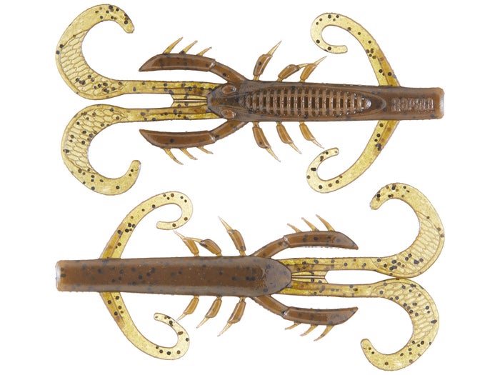 Crush City Green Pumpkin