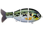 Bucca Baby Bull Gill