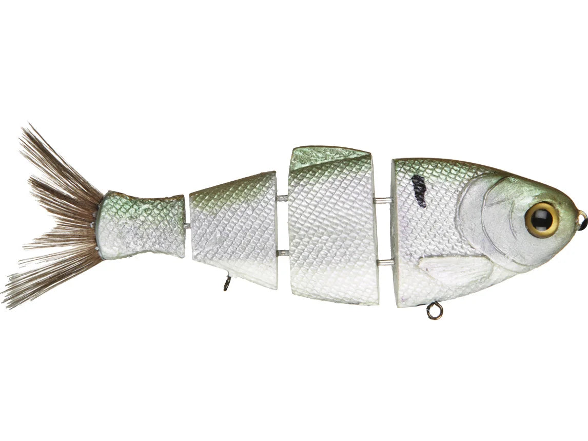 Bull Shad Slow Sink Swimbait