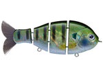 Bucca Baby Bull Gill