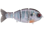 Bucca Baby Bull Gill