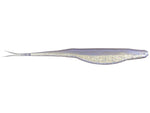 Zoom Super Fluke 4" Jr soft plastic soft jerkbait in Rainbow Shad