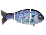 Bucca Baby Bull Gill