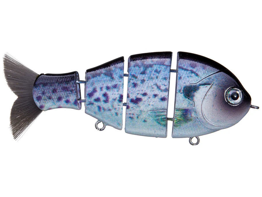 Bucca Baby Bull Gill