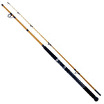 Daiwa FT Surf Rod