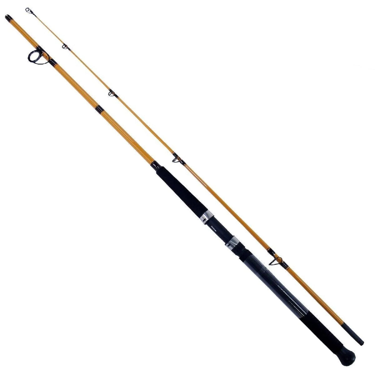 Daiwa FT Surf Rod