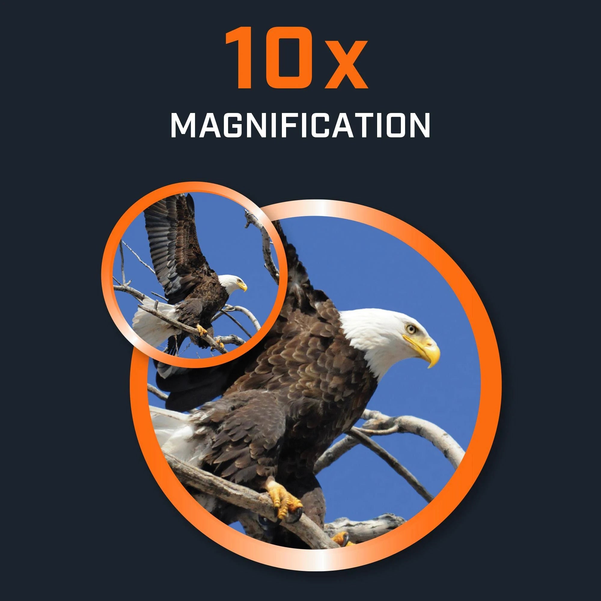 Bushnell PWV1042 Powerview 2 Binoculars 10x42mm