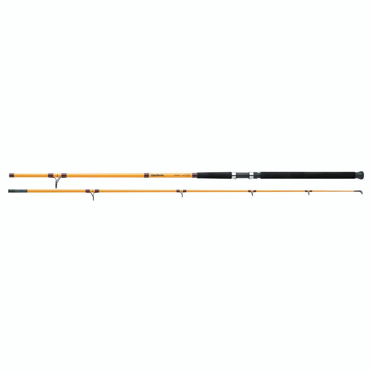 Daiwa FT Surf Rod additional view 2