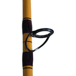 Daiwa FT Surf Rod