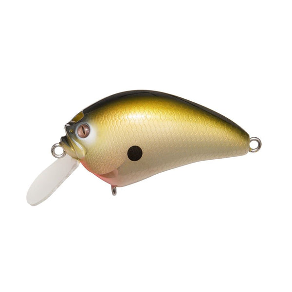 Megabass JDM  IXI Blowly Secret Truffle