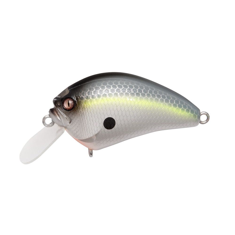 Megabass JDM  IXI Blowly PM Sexy Shad