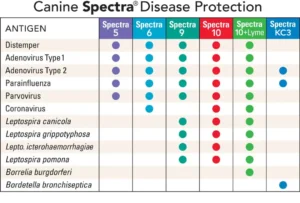 Durvet Spectra 9-Way Dog Vaccine Bulk Pack 25 Dose No Syringe - Image 3